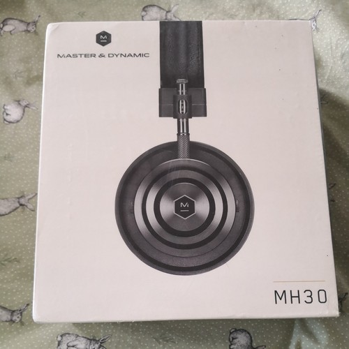 Master dynamic headphones - dynamic,