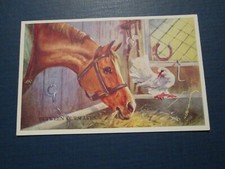 Mabel Gear Postcard "Between ourselves" Horse and dove, Valentine's unposted