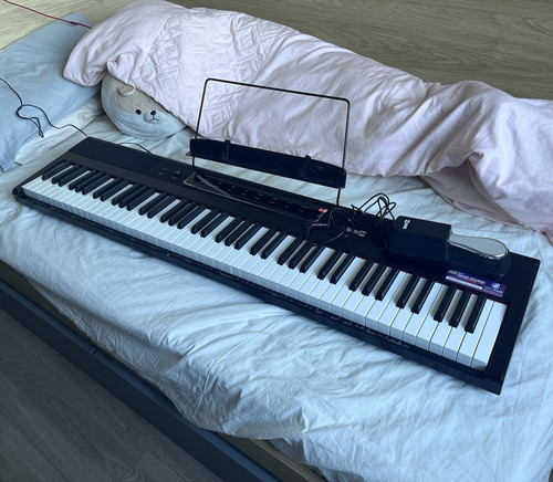 Rockjam rj88dp key - rockjam,