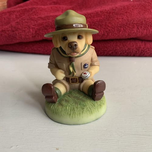 Robert harrop labrador puppy - robert,