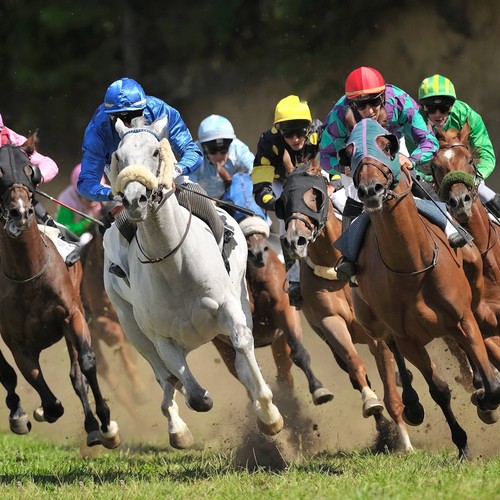 Double digit wins horse - digit,