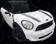 Bonnet Stripe Vinyl Decals |