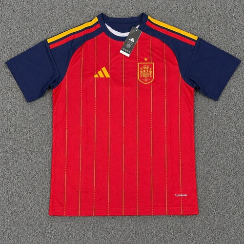 Spain world cup home - spain,