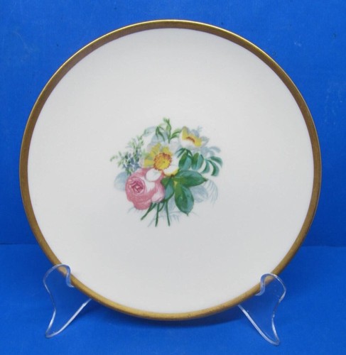 Lamberton ivory china - ivory, spring