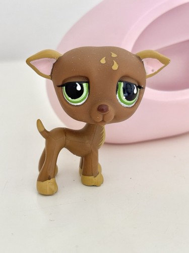 507 greyhound littlest pet - greyhound,