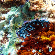 Serpierite Azurite Malachite Kamareza Lavrion Greece Mineral Specimen 32mm