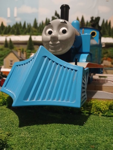 Bachmann thomas scale - thomas,