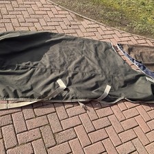 Amigo XL 7’3” Horse