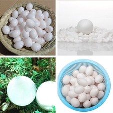 Plastic eggs dummy - 10/20, x