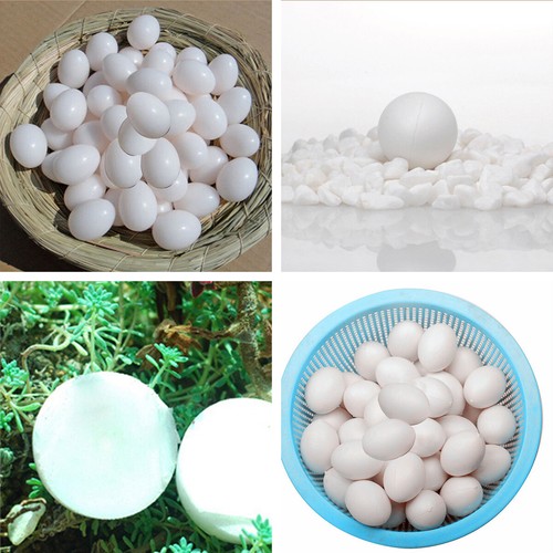 Plastic eggs dummy - 10/20,