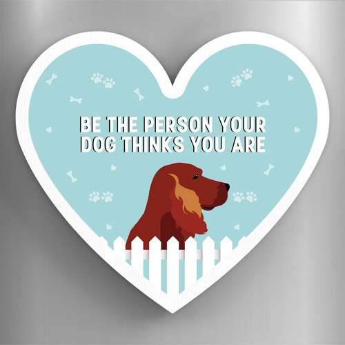 Red setter person your - red,