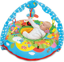 Toys, Playnest and Gym - Farm