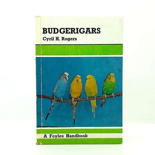 Budgerigars cyril rogers - budgerigars,