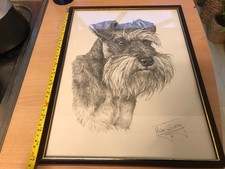 Miniature Schnauzer Large