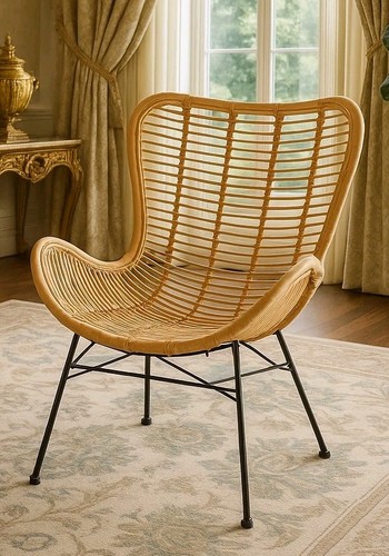 Accent chair rattan - chair, colorado