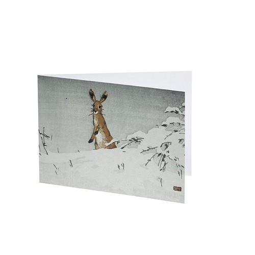 Snow and hare allen - and,