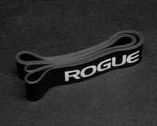 Rogue Fitness Echo Resistance