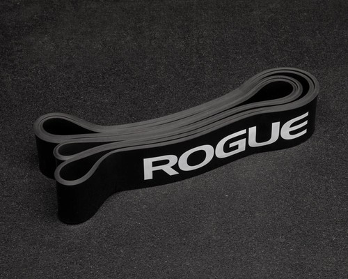Rogue fitness echo resistance - echo,