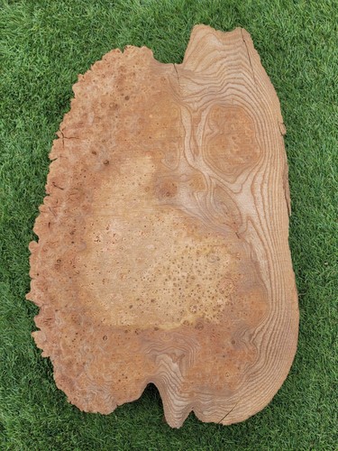 Burr elm woodturning blank - burr,