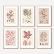 Six Coral Art, Beach