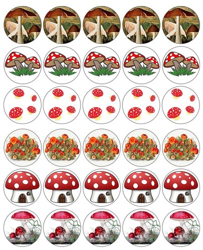 Mushrooms cupcake toppers - mushrooms,
