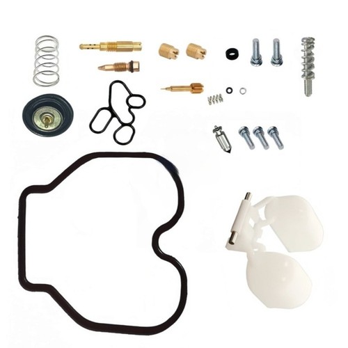 Carburetor repair kit - repair,