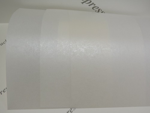 Vellum parchment translucent - parchment,