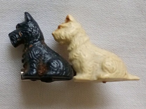 Scottish terrier black white - terrier, &