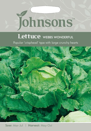 Lettuce webbs wonderful - lettuce, 'webbs