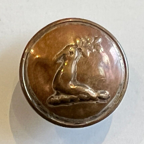 Victorian livery button - button, 26