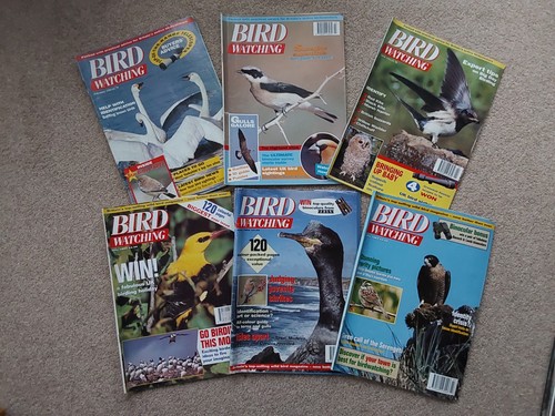 Vintage bird watching - bird,