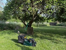 hayter harrier GTS lawnmower