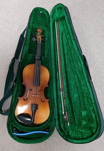Violin skylark with modern - violin,