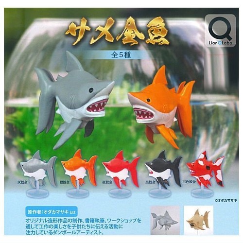 Shark goldfish complete - set, 5
