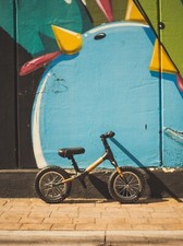 Bamboocycles 12" bamboo &