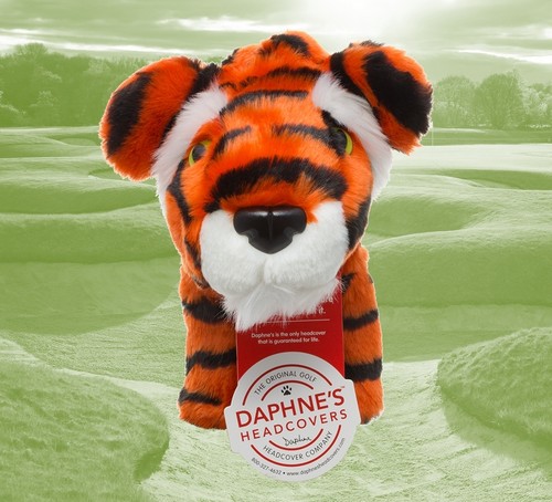 Tiger animal hybrid rescue - animal,