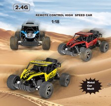1/18 radio remote control Car