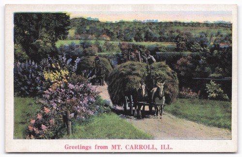 Carroll ill hay wagons - carroll,,