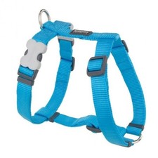 Red Dingo Harness and Lead set Turquoise (Large)