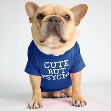 Summer Dog Clothes Neck
