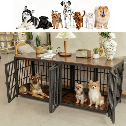 Spacious double dog - dog, crate