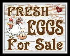 FRESH EGGS FOR SALE HENS