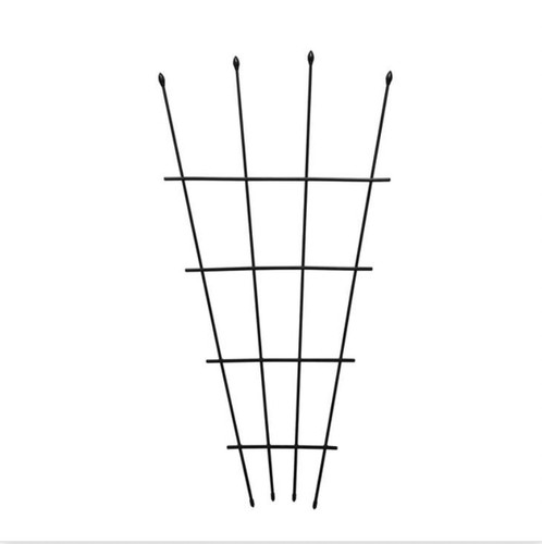 Fan trellis garden plant - fan,