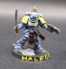 Space Wolves Captain, Painted