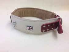 PADDED LEATHER DOG COLLAR FOR BULL BRITISH BULLDOG