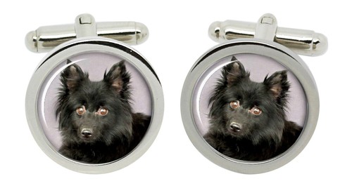 Schipperke dog cufflinks - schipperke, in
