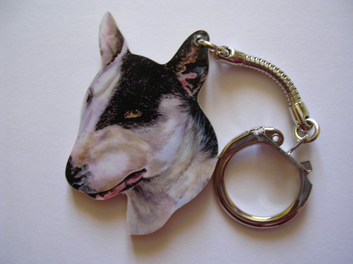 English bull terrier dog - bull,