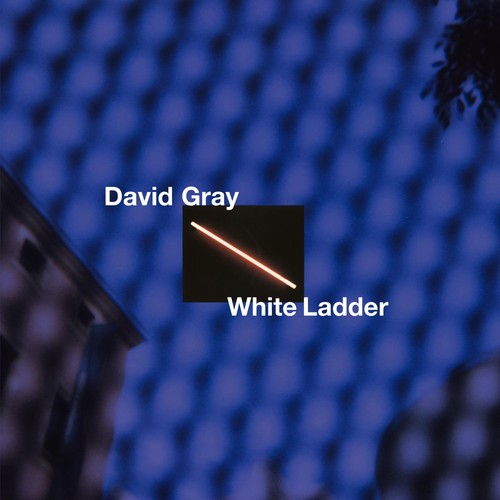 The orchard white - orchard, ladder