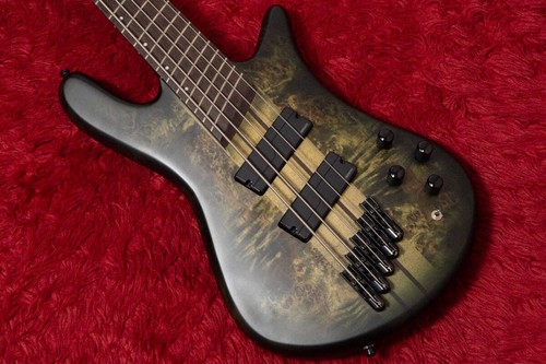 Spector dimension ms - spector,