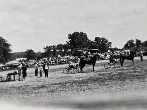 Vintage 1946 photo harness - photo,